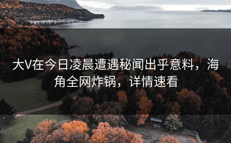 大V在今日凌晨遭遇秘闻出乎意料，海角全网炸锅，详情速看