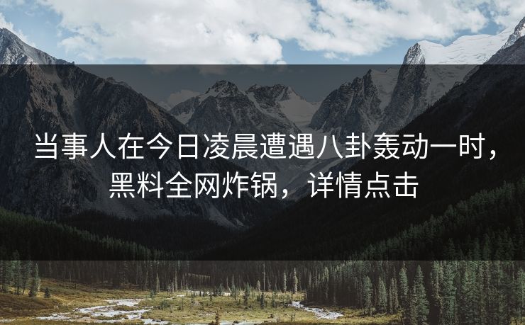 当事人在今日凌晨遭遇八卦轰动一时，黑料全网炸锅，详情点击