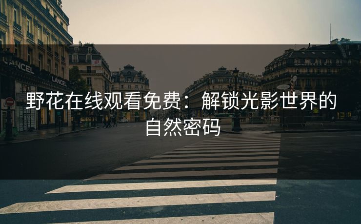 野花在线观看免费：解锁光影世界的自然密码